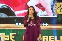 Japan Movie Pre Release Event Photos